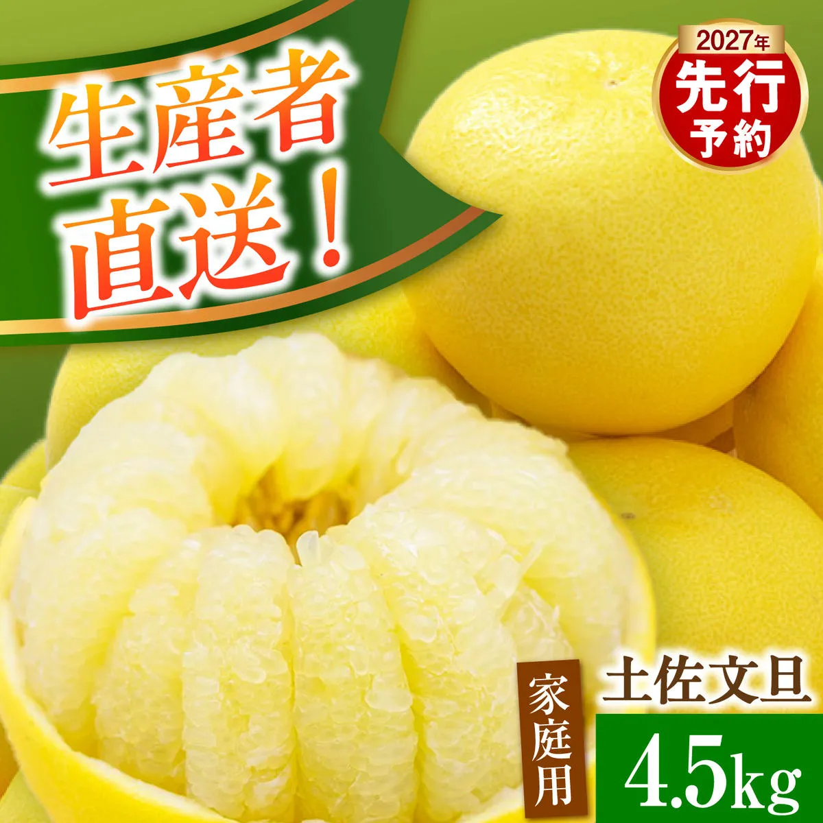 【先行予約】生産者直送 土佐文旦 約4.5kg [サイズおまかせ 2L～4L] 家庭用＜2027年1月下旬より発送＞  家庭用 文旦 柑橘 みかん フルーツ 果物 産地直送 お取り寄せ【土佐文旦産直協同組合】