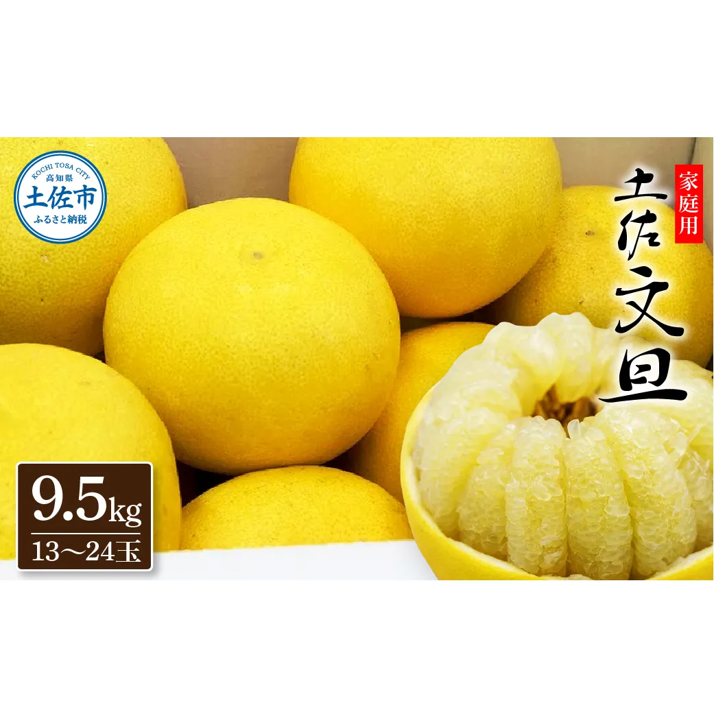 生産者直送　土佐文旦9.5kg[2L～4L]