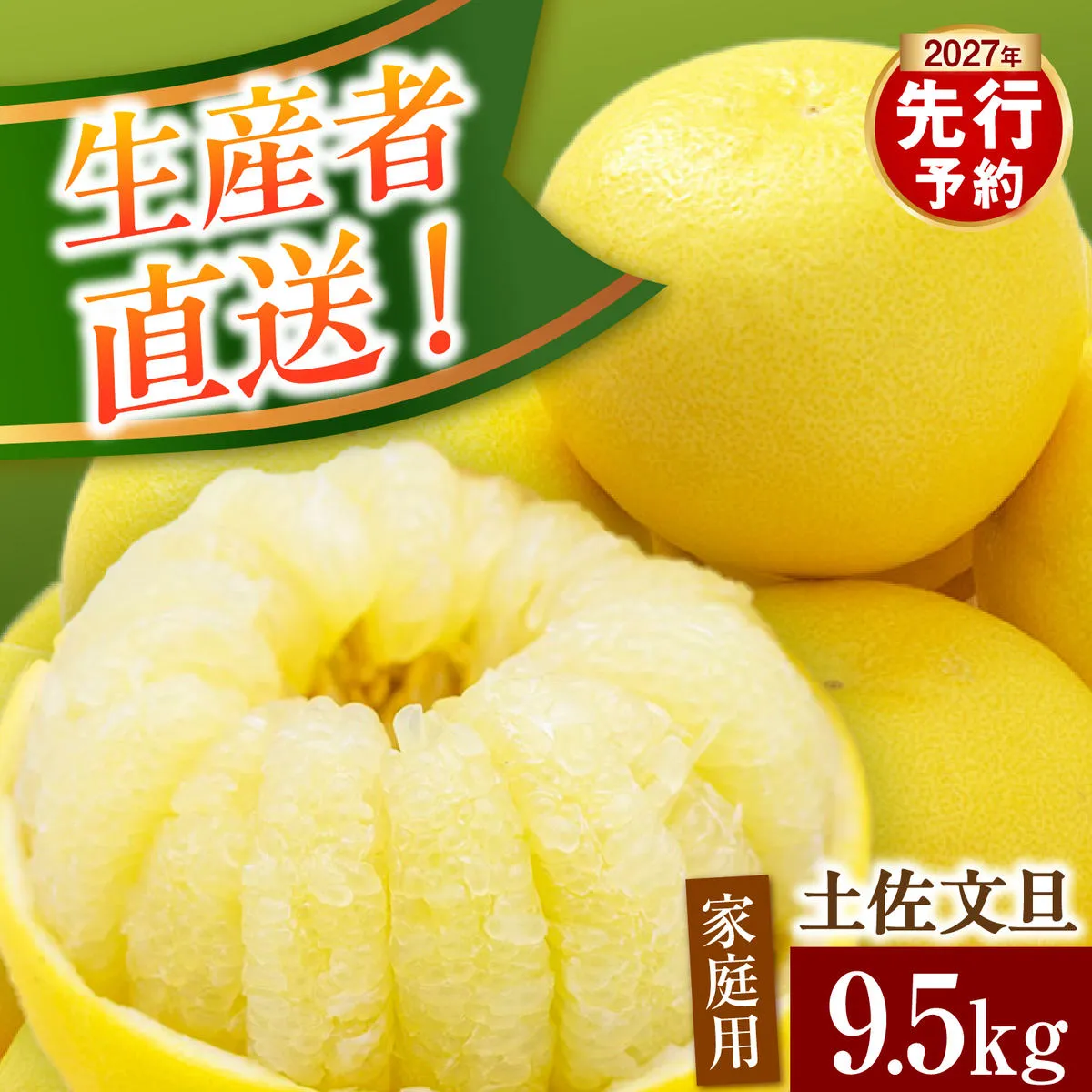 【先行予約】生産者直送 土佐文旦 約9.5kg [2L～4L] 家庭用 ＜2027年1月下旬より発送＞ 家庭用 文旦 柑橘 みかん フルーツ 果物  産地直送 お取り寄せ 人気 【土佐文旦産直協同組合】