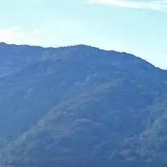 B-33　【釣り好き必見！】レンタルボート1DAYチケット　５枚セット