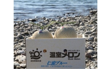 仁淀ブルー温室メロン｜土佐市｜高知県｜返礼品をさがす｜まい