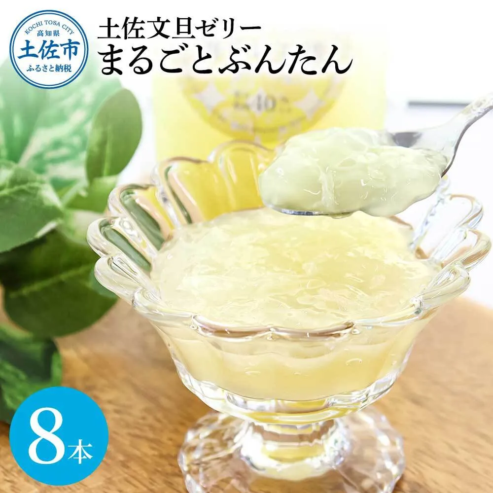 土佐文旦ゼリー『まるごとぶんたん』8本セット ぜりー ブンタン ぶんたん フルーツ 果物 柑橘 みかん お菓子 おかし おやつ デザート スイーツ おいしい 爽やか シャーベット お取り寄せ