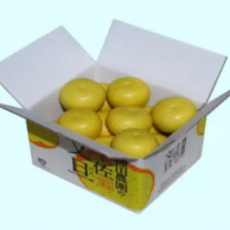 【訳あり】【先行予約】高知県産 土佐文旦 訳あり 約5kg 8～10玉入〈2027年2月〜発送〉 ぶんたん ブンタン 果物 柑橘 フルーツ お取り寄せ おいしい 美味しい 高知県 土佐市【株式会社種田農園】[BQBW004]