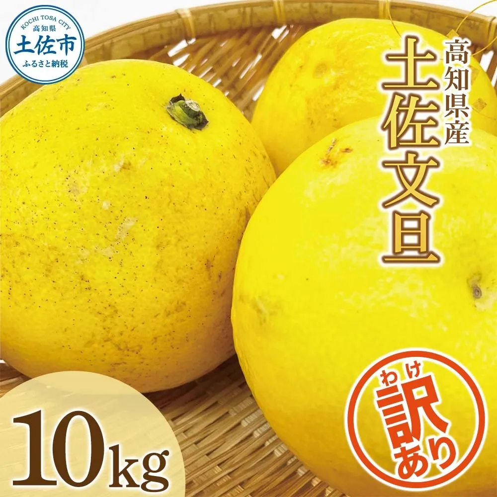 【先行予約】数量限定！【訳あり】土佐文旦（ぶんたん）家庭用（M～5L）約10kg 〈2027年2月中旬～発送〉 文旦 10キロ 土佐文旦発祥の地 約10～30玉 大玉 ぶんたん【株式会社とさもん】 [BQAE032]