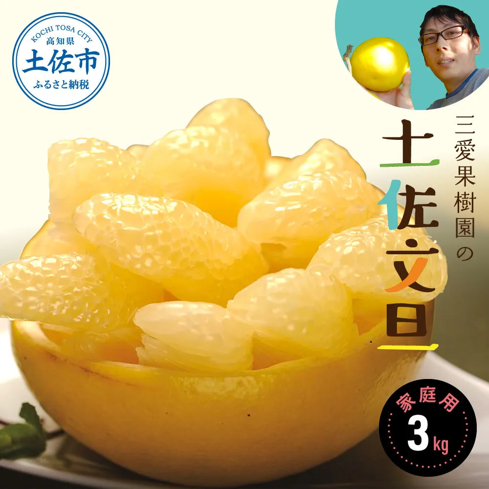 【先行予約】三愛果樹園の土佐文旦　家庭用　約3kg / 土佐文旦 みかん 柑橘 ぶんたん ブンタン 果物 フルーツ 〈2027年2月上旬から順次発送〉【三愛果樹園】