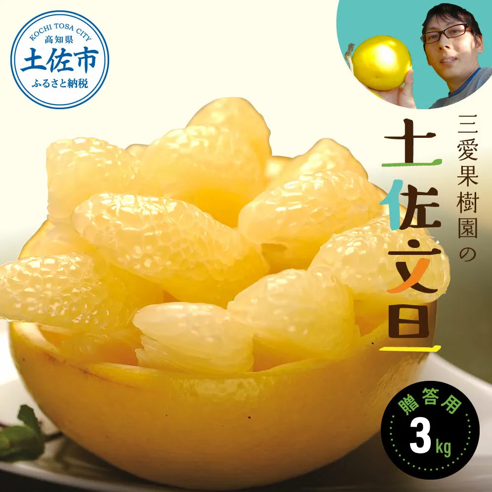 【先行予約：2025年2月5日から発送予定】文旦 三愛果樹園の土佐文旦 贈答用約3kg 先行予約 2月～3月発送 みかん 柑橘 ぶんたん ブンタン 果物　フルーツ お取り寄せ おいしい 美味しい 故郷納税 ふるさとのうぜい 返礼品 高知県 高知