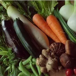 旬の朝採れ土佐野菜詰め合わせ(10～13品目)【土佐市】