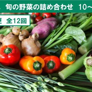 【12回定期便】【土佐野菜】旬の野菜詰め合わせ10～13品目【株式会社SIMA】 [BQAZ005]