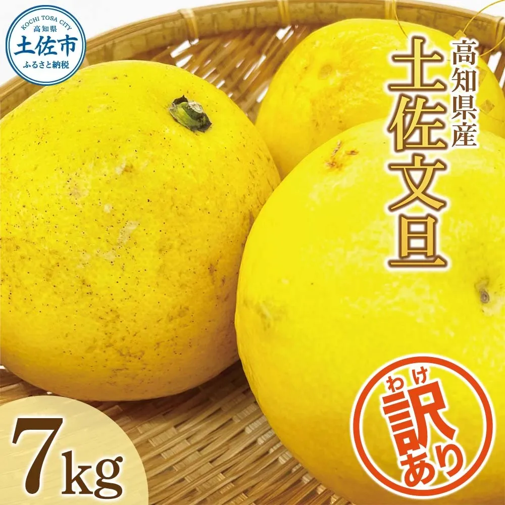 【先行予約】数量限定！【訳あり】土佐文旦（ぶんたん）家庭用（M～5L 混合）約7kg 〈2027年2月中旬～発送〉 文旦 7キロ 土佐文旦発祥の地 直送 約10～22玉 大玉 【株式会社とさもん】 [BQAE031]