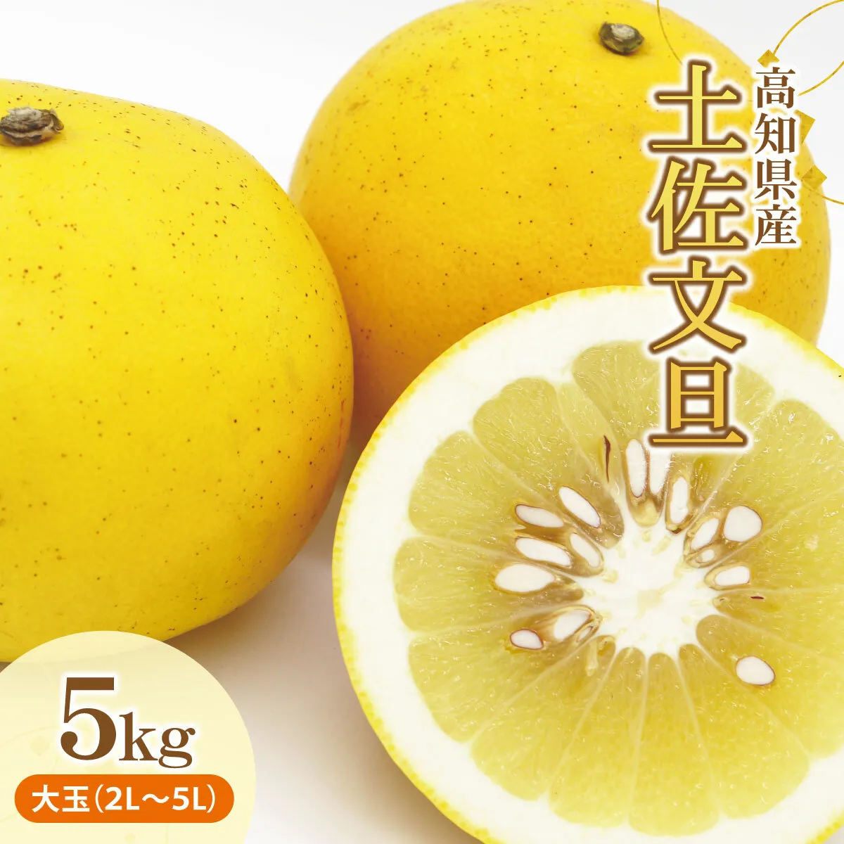 土佐文旦（ぶんたん）（大玉：２Ｌ～５Ｌ混合）約５ｋｇ【株式会社とさもん（土佐市）】 文旦 5キロ 約7～10玉 ぶんたん ブンタン 柑橘 果物 フルーツ お取り寄せ おいしい 美味しい