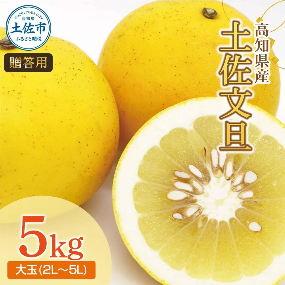 【先行予約】土佐文旦（大玉：2L～5L 混合）約5kg 〈2027年2月中旬〜発送〉/ 土佐文旦発祥の地 産地直送 家庭用 贈答用 文旦 5キロ 約7～10玉 大玉 特大 3l 4l ぶんたん ブンタン 柑橘 【株式会社とさもん】