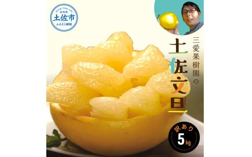 【先行予約】【訳あり】三愛果樹園の土佐文旦　約5kg / 土佐文旦 みかん 柑橘 ぶんたん ブンタン 果物 フルーツ 〈2027年2月上旬から順次発送〉【三愛果樹園】