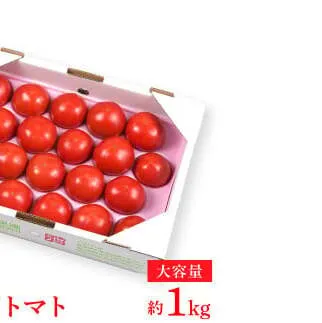 【先行予約】濃厚フルーツトマト 1kg 〈2027年1月〜発送〉 / Aランク 糖度8度以上 期間限定 フルーツトマト ふるーつとまと とまと トマト 甘い 濃厚 美味しい 箱入り 贈答 野菜 料理 高知県 土佐市【池トマト】[BQAG009]