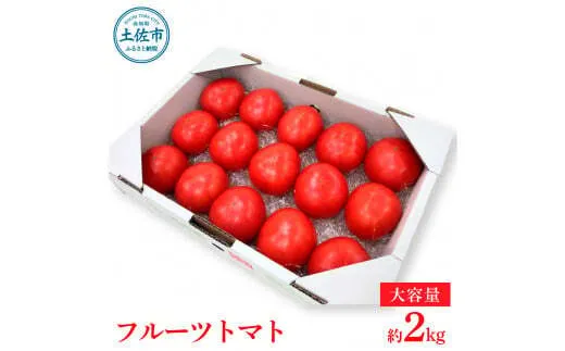 【先行予約】旬の濃旨フルーツトマト 約2kg <2027年1月〜発送> / 糖度8～10度 大小混合 詰め合わせ フルーツトマト ふるーつとまと とまと トマト 甘い 濃厚 美味しい 箱詰め【池トマト】[BQAG023]