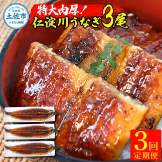 【3回定期便】仁淀川特大肉厚うなぎ3尾セット 定期コース 3ヶ月 タレ付き うなぎ 鰻 ウナギ 蒲焼き かば焼き 1尾200g超え 仁淀川 国産 太化うなぎ 養殖 おいしい 人気 冷凍 夏
