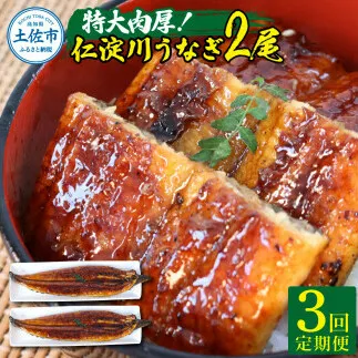 【3回定期便】仁淀川特大肉厚うなぎ2尾セット 定期コース 3ヶ月 タレ付き うなぎ 鰻 ウナギ 蒲焼き かば焼き 1尾200g超え 仁淀川 国産 太化うなぎ 養殖 おいしい 人気 冷凍 夏