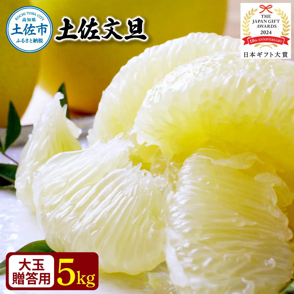 【日本ギフト大賞2024受賞】園主こだわり土佐文旦【化粧箱贈答用：大玉5kg】（3L～2L） 2026年1月下旬より順次発送 ぶんたん ブンタン 柑橘 フルーツ 果物 贈答 ギフト 土佐 高知 やの一果彩