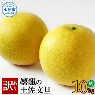 ＜2026年1月下旬より順次発送＞訳あり 嬉龍の土佐文旦 約10キロ L - ４Lサイズ 