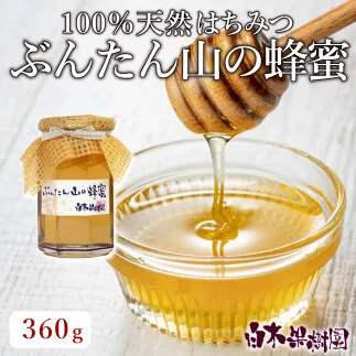 【先行予約】爽やかな香り広がる100%天然蜂蜜 ぶんたん山の蜂蜜　360g　〈2026年6月頃から順次発送〉  / はちみつ ハチミツ 高知県産 国産 天然はちみつ 土佐 高知 【白木果樹園】【白木果樹園】 [BQAI057]