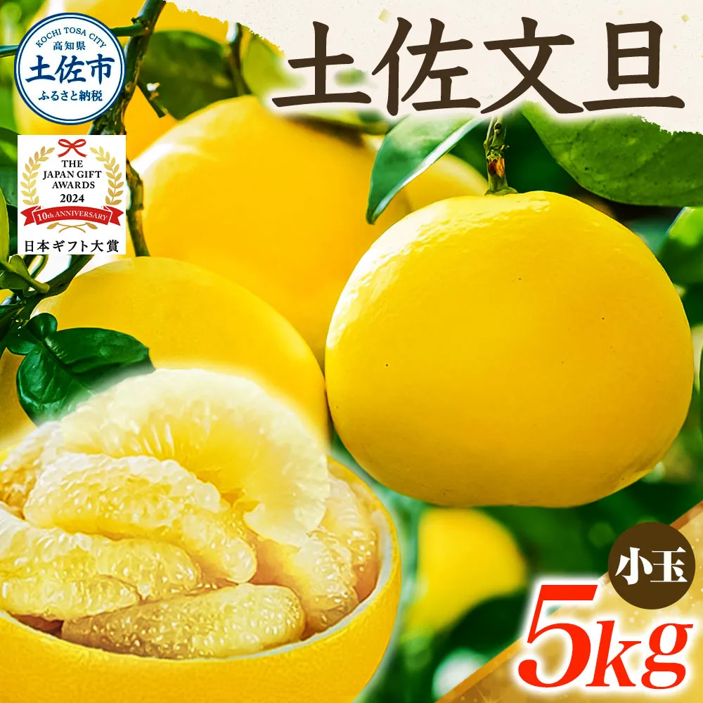 【日本ギフト大賞2024受賞】先行予約 園主こだわりの土佐文旦5キロ 小玉（L - Mサイズ） 2026年1月下旬より順次発送 ぶんたん ブンタン 柑橘 みかん フルーツ 果物 お取り寄せ 土佐 高知 やの一果彩