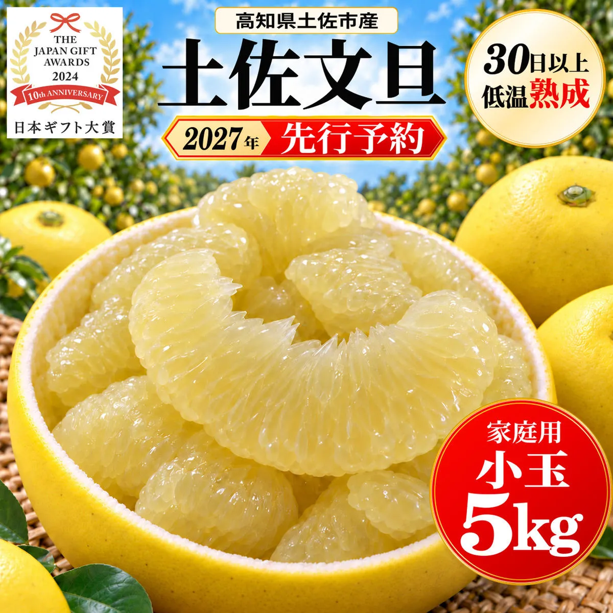 土佐文旦 小玉 5kg 家庭用 日本ギフト大賞受賞 文旦発祥の地 園主こだわり 食べ切りサイズ L～M 高知県土佐市産 高知県産 国産 5キロ ぶんたん ブンタン みかん 柑橘類 高級フルーツ 果物 産地直送 お取り寄せ ギフト 数量限定 季節限定 先行予約 やの一果彩[BQAC017]
