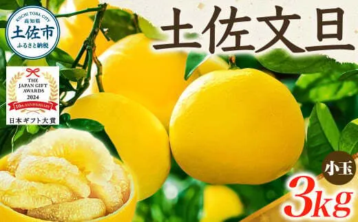 【日本ギフト大賞2024受賞】【先行予約】文旦 小玉3kg（L～M）2026年1月下旬より順次発送 