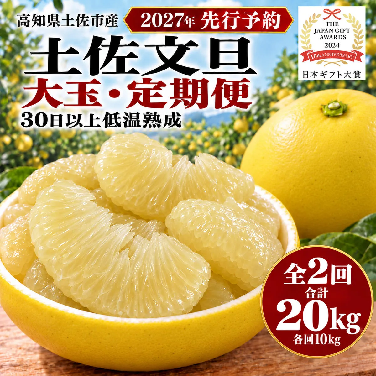 土佐文旦 大玉 定期便 全2回 各回10kg 合計20kg 家庭用 日本ギフト大賞受賞 文旦発祥の地 園主こだわり 2月 3月 食べ比べ 高知県土佐市産 高知県産 国産 10キロ ぶんたん みかん 柑橘類 高級フルーツ 果物 産地直送 お取り寄せ ギフト 先行予約 やの一果彩[BQAC009]