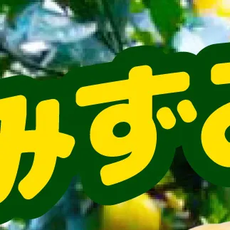 【先行予約】土佐文旦 大玉 家庭用 約10kg（2L～4Lサイズ混合：16～21玉)  数量限定 文旦 ぶんたん ブンタン 10キロ 柑橘 フルーツ 果物 ご当地 お取り寄せ 土佐 高知＜2027年1月下旬から順次発送＞【玉木農園】