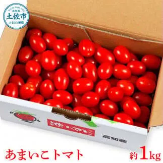 【先行予約】あまいこトマト 約1kg <2027年1月〜発送> / トマト ミニトマト フルーツトマト 糖度7～8度 高知県産 アイコ アイコトマト 健康 酸味控えめ 美味しい【池トマト】[BQAG025]
