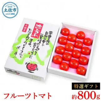 【先行予約】フルーツトマト特選ギフト 約800g <2027年1月〜発送> / 特Aランク トマト フルーツトマト 池トマト 糖度10度以上 高糖度 高知県産 ギフト 箱入り 贈答用 贈り物 健康【池トマト】[BQAG024]