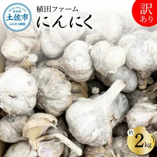 訳あり にんにく 約2kg 乾燥 ニンニク にんにく 訳アリ わけアリ 不揃い 型崩れ 自然乾燥 大量 大容量 常温 配送 数量限定 高知県産