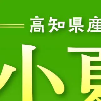 高知県 土佐市産 KONATSU JUICE／Drink　2種セット 小夏ジュース ドリンク 20%果汁 100％果汁 ストレート ジュース 飲み物 詰め合わせ セット フルーツジュース 高知県 土佐市【川野果樹園】 [BQCB004]