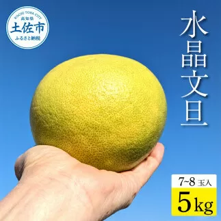 土佐市産 水晶文旦 約5kg (7~8玉)文旦 ぶんたん ブンタン すいしょうぶんたん ハウス栽培 甘い 高級 果物 柑橘 フルーツ 果物 ご当地 お取り寄せ 5キロ 贈答 ギフト