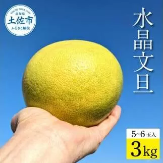 土佐市産 水晶文旦 約3kg (5~6玉)文旦 ぶんたん ブンタン すいしょうぶんたん ハウス栽培 甘い 高級 果物 柑橘 フルーツ 果物 ご当地 お取り寄せ 3キロ 贈答 ギフト