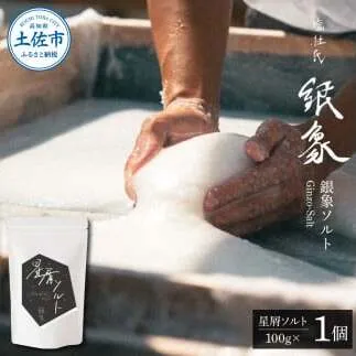 銀象ソルト Ginzo-Salt 星屑ソルト 100g 塩 しお 調味料 天日塩 完全天日塩 国産 高知県産 ソルト ミネラル 健康 料理 調理 お塩 塩 美味しい 天然 塩 高知県【塩杜氏銀象】 [BQBX006]
