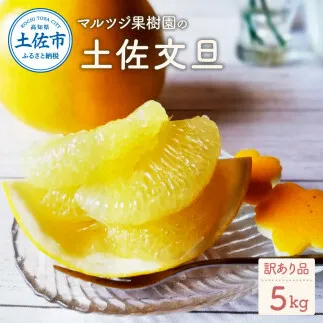 マルツジ果樹園の土佐文旦訳あり品（約5kg） 訳あり 文旦 土佐文旦 ぶんたん ブンタン 期間限定 数量限定  2L～4Lサイズ 7～11個 果物 柑橘 フルーツ 高知県産【マルツジ果樹園】 [BQAN005]