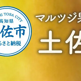 【先行予約受付】文旦 約5kg 土佐文旦 大玉 贈答用 ぶんたん ブンタン 期間限定 数量限定 3Lサイズ 8～9個 果物 柑橘 フルーツ 高知県産 土佐市産 ギフト 美味しい おいしい 春 旬