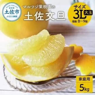 文旦 約5kg 家庭用 大玉 土佐文旦 高知 ぶんたん ブンタン 期間限定 数量限定 3Lサイズ 8～9個 果物 柑橘 フルーツ 高知県産 家庭用 ご自宅用 傷 美味しい