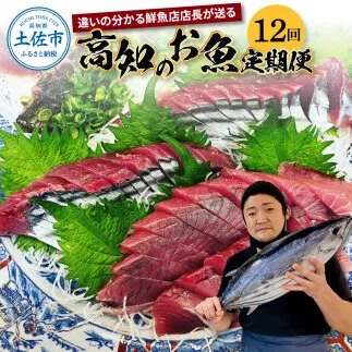 【12回定期便】違いの分かる鮮魚店店長が送る 高知のお魚定期便！！お申込翌月より12回お届け お楽しみ 定期便 魚 海鮮 魚介 カツオのタタキ 鰹 タイ カンパチ ウツボ【さかなの森澤　マル祐】 [BQAM007]