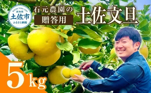【先行予約】石元農園の土佐文旦　贈答用約5キロ（7～12玉）〈2027年2月～発送〉期間限定 文旦 5kg ぶんたん 果物 柑橘 フルーツ 高知県産 お取り寄せグルメ ギフト 贈答 贈り物【石元農園】 [BQBH003]