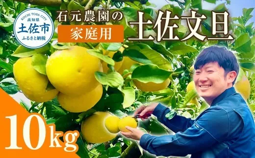 【先行予約】石元農園の土佐文旦　家庭用　約10キロ（14～22玉）〈2027年2月～発送〉 期間限定 土佐文旦 文旦 10kg ぶんたん 果物 柑橘 フルーツ 高知県産 家庭用 おいしい【石元農園】 [BQBH002]