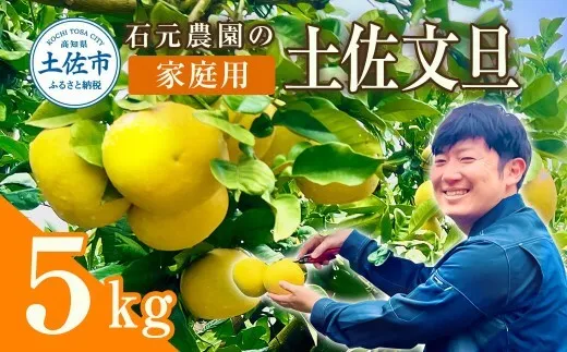 【先行予約】石元農園の土佐文旦 家庭用 約5キロ（7～12玉）〈2027年2月～発送〉期間限定 土佐文旦 文旦 5kg ブンタン ぶんたん 果物 柑橘 フルーツ 高知県産 家庭用 おいしい【石元農園】 [BQBH001]