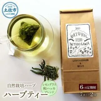 《6ヵ月定期便》ハーブ仁淀川産 自然栽培ハーブ レモングラス＆和ハッカブレンド ハーブティー ティーバッグタイプ 2個セット 7袋入り×2個 