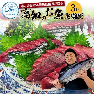 [3回定期便]違いの分かる鮮魚店店長が送る 高知のお魚定期便!! 海鮮 魚 さかな 新鮮 カツオのタタキ 金目鯛 真鯛 ネギトロ 天然アユ など 旬 季節[さかなの森澤 マル祐] [BQAM008]