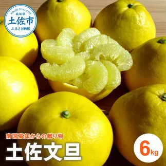 【先行予約】『南国高知からの贈り物』土佐文旦 訳あり（家庭用）6kg＜2027年2月下旬頃～発送＞ 6キロ 文旦 サイズ混合 期間限定 数量限定 ぶんたん ブンタン 柑橘 みかん 果物 果肉 フルーツ 甘い 美味しい プリプリ ふるさと納税 【ファーマーズマーケットひなた】[BQBT002]