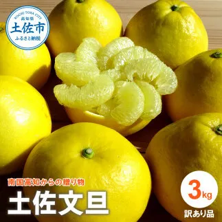 『南国高知からの贈り物』土佐文旦 【訳あり（家庭用）】3kg 5玉～7玉入