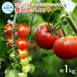 フルーツトマト食べくらべセット 1kg トマト フルーツトマト ミニトマト 詰め合わせ セット 新鮮野菜 ふるーつとまと フルーツミニトマト カラフル トマト とまと 美味しい サラダ 野菜 高知県産