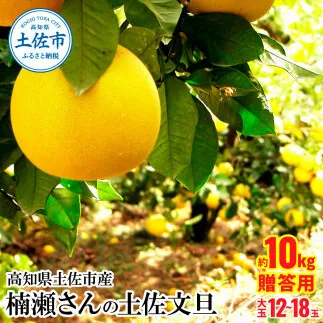 【先行予約】高知県土佐市産 楠瀬さんの土佐文旦 贈答用大玉 約10kg 期間限定 3L～4Lサイズ 12～18玉