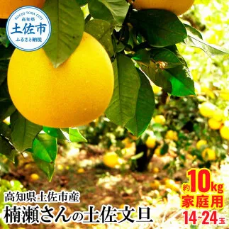 【先行予約】楠瀬さんの土佐文旦 家庭用 約10kg サイズ混合 L～4L〈2027年2月15日～2027年4月5日発送〉 高知 土佐 文旦 ぶんたん ブンタン 柑橘 みかん 果物 10キロ 14～26玉 フルーツ 旬 不揃い ご自宅用【まる庄果樹園】[BQAF002]