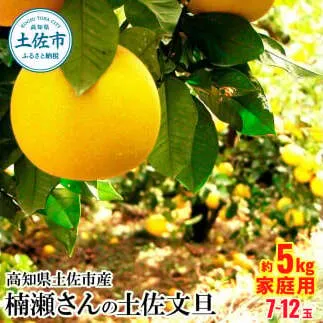 【先行予約】楠瀬さんの土佐文旦 家庭用 約5kg サイズ混合 L～4L 〈2027年2月15日～2027年4月5日発送〉 高知 土佐 文旦 ぶんたん ブンタン 柑橘 みかん 果物 5キロ 7～12玉 フルーツ 旬 不揃い ご自宅用 常温【まる庄果樹園】[BQAF001]
